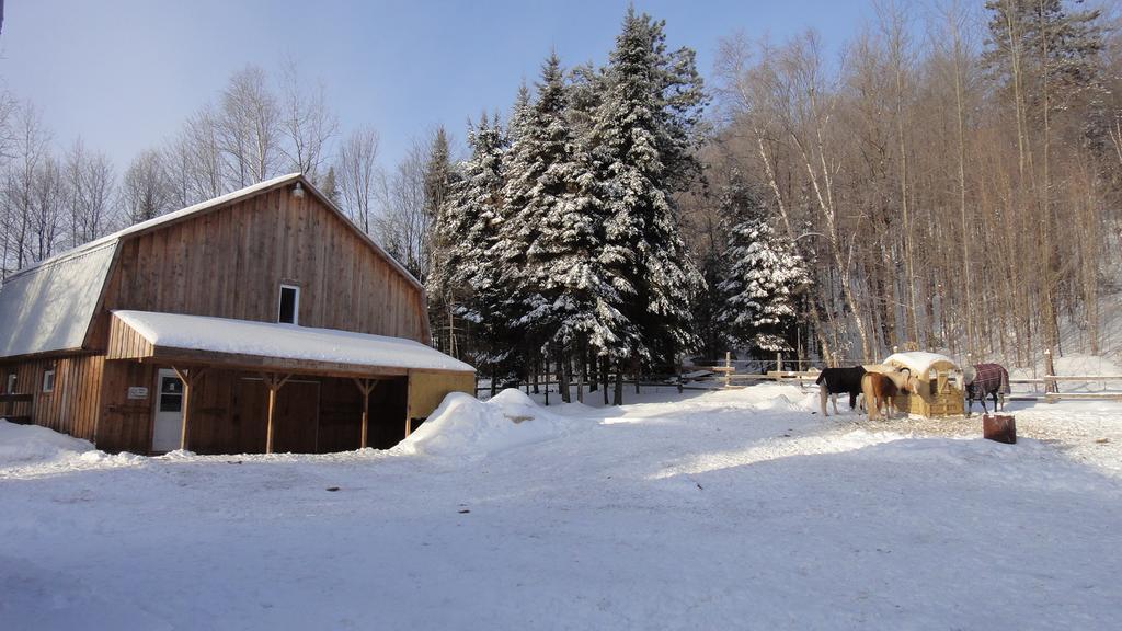 Auberge Le Cheval Bleu Saint-Alphonse-Rodriguez Exterior photo